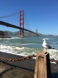 Embarcadero et Golden Gate Bridge